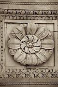 Wall_Art_Alphabet_Photography_Art_ 1694